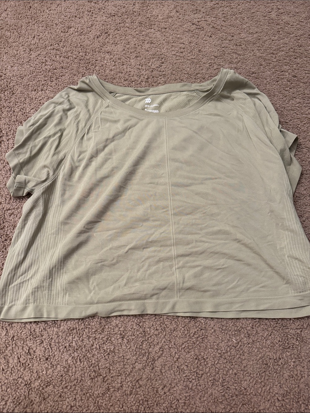 Relaxed Short-Sleeve Scoop Neck Top in Light Sage